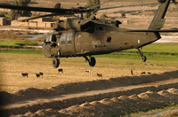 Military Helicopter- Military Mental Health
